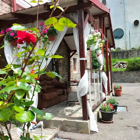 Casa Olguta Lejlighed Sinaia Eksteriør billede
