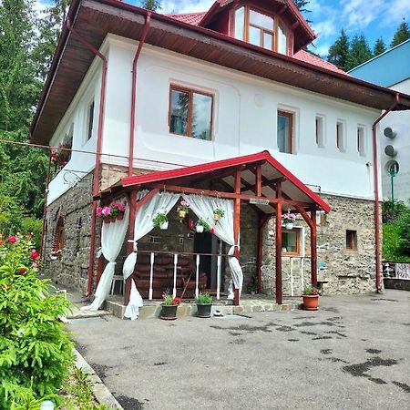 Casa Olguta Lejlighed Sinaia Eksteriør billede