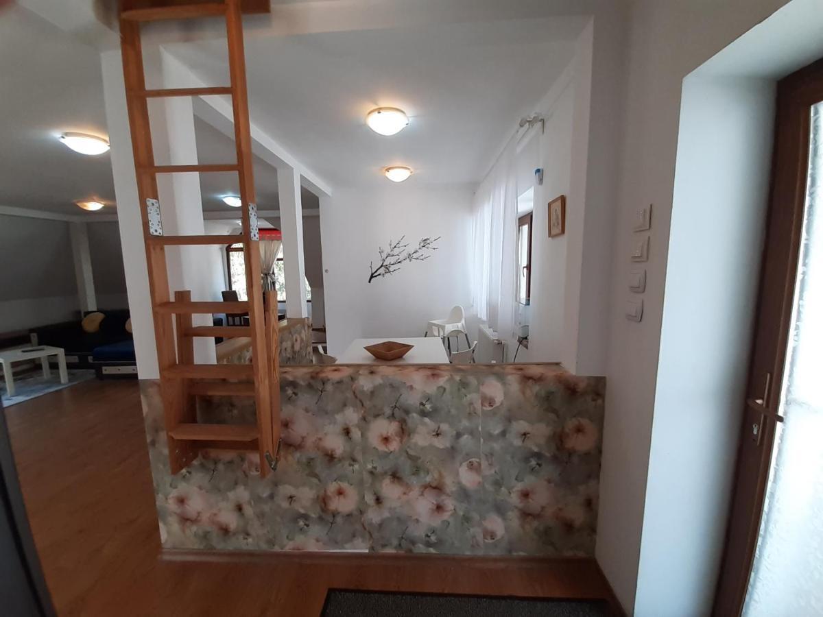 Casa Olguta Lejlighed Sinaia Eksteriør billede