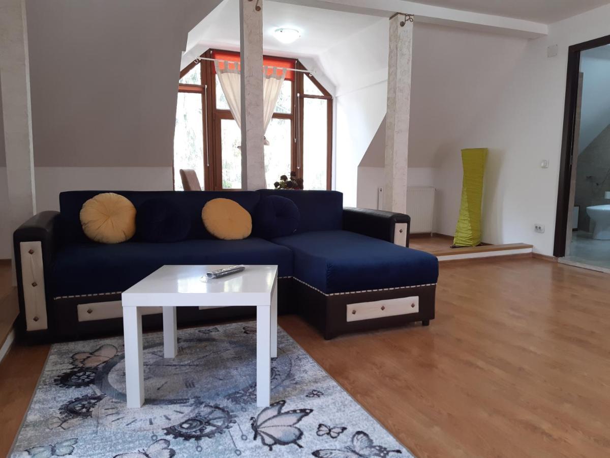 Casa Olguta Lejlighed Sinaia Eksteriør billede