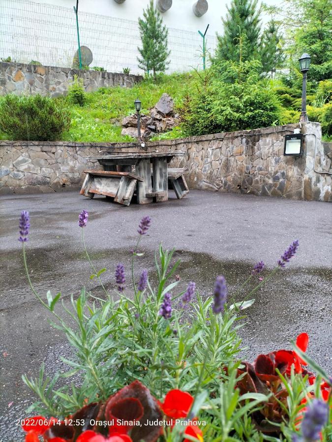 Casa Olguta Lejlighed Sinaia Eksteriør billede