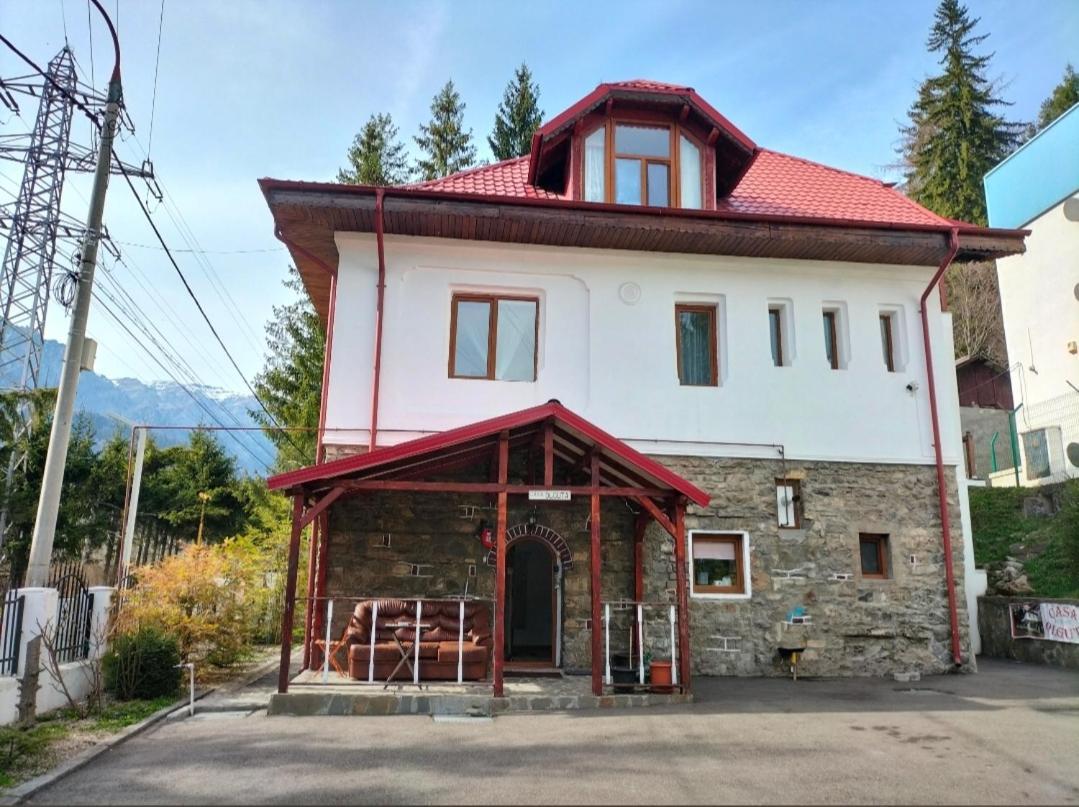Casa Olguta Lejlighed Sinaia Eksteriør billede