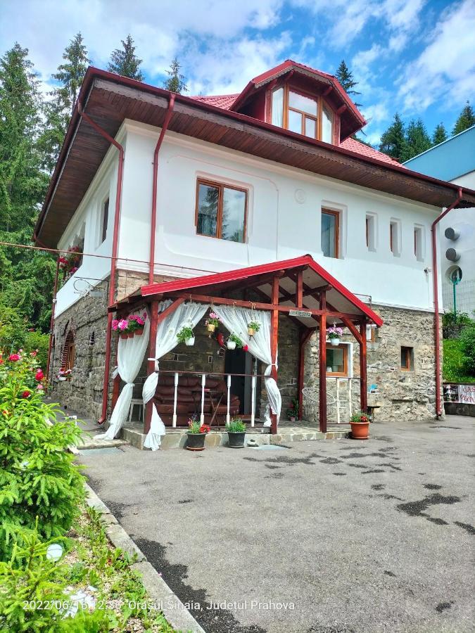 Casa Olguta Lejlighed Sinaia Eksteriør billede