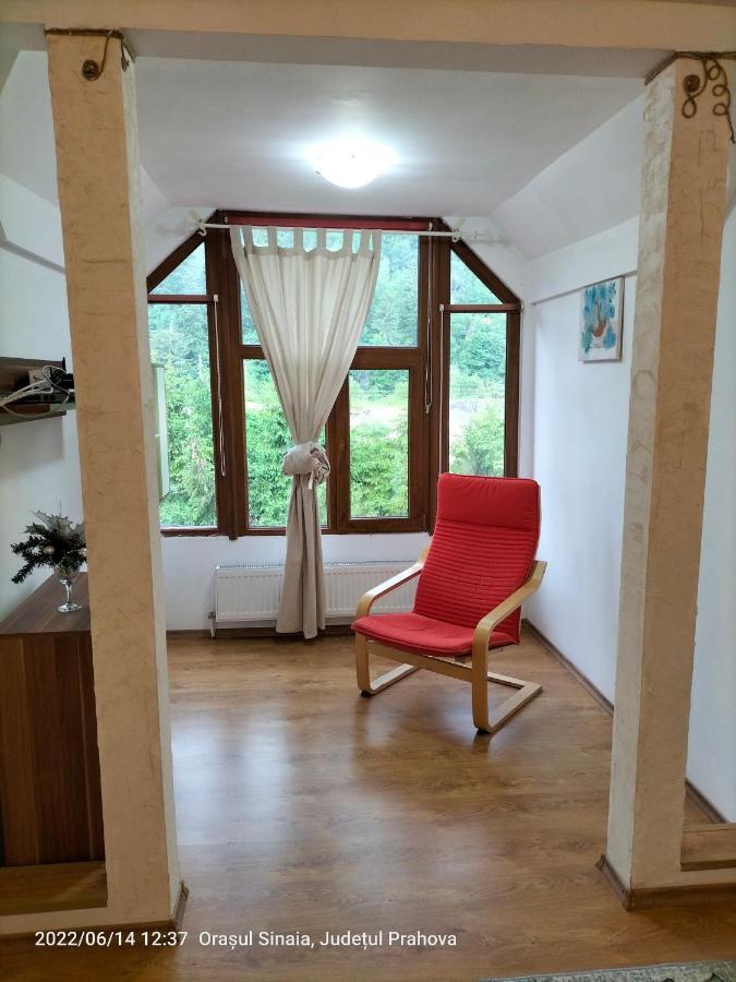 Casa Olguta Lejlighed Sinaia Eksteriør billede