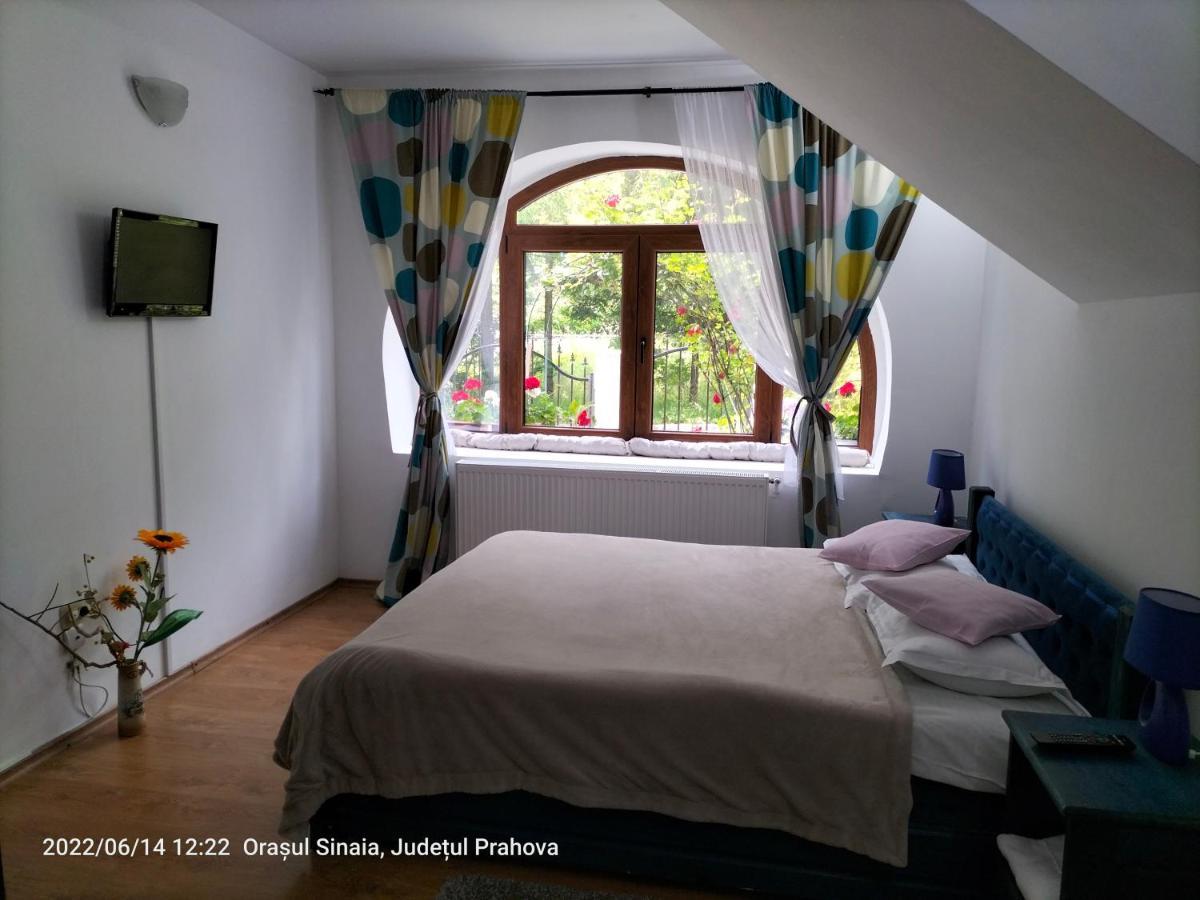 Casa Olguta Lejlighed Sinaia Eksteriør billede