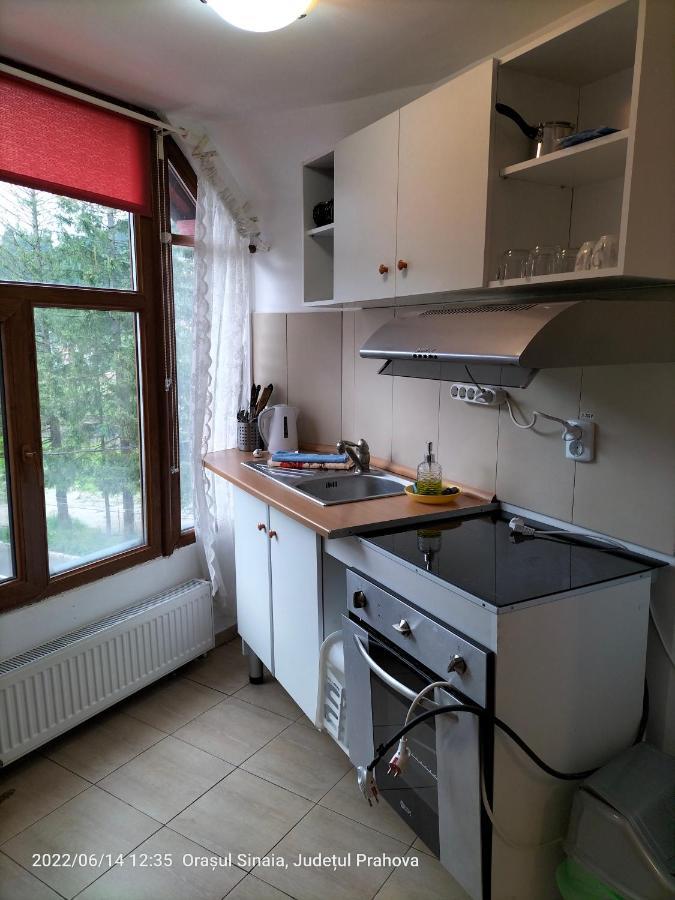 Casa Olguta Lejlighed Sinaia Eksteriør billede