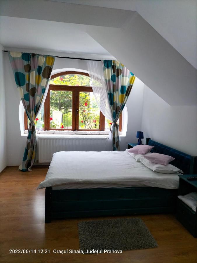 Casa Olguta Lejlighed Sinaia Eksteriør billede