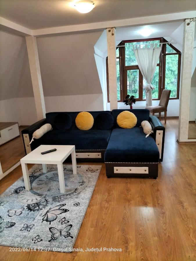 Casa Olguta Lejlighed Sinaia Eksteriør billede