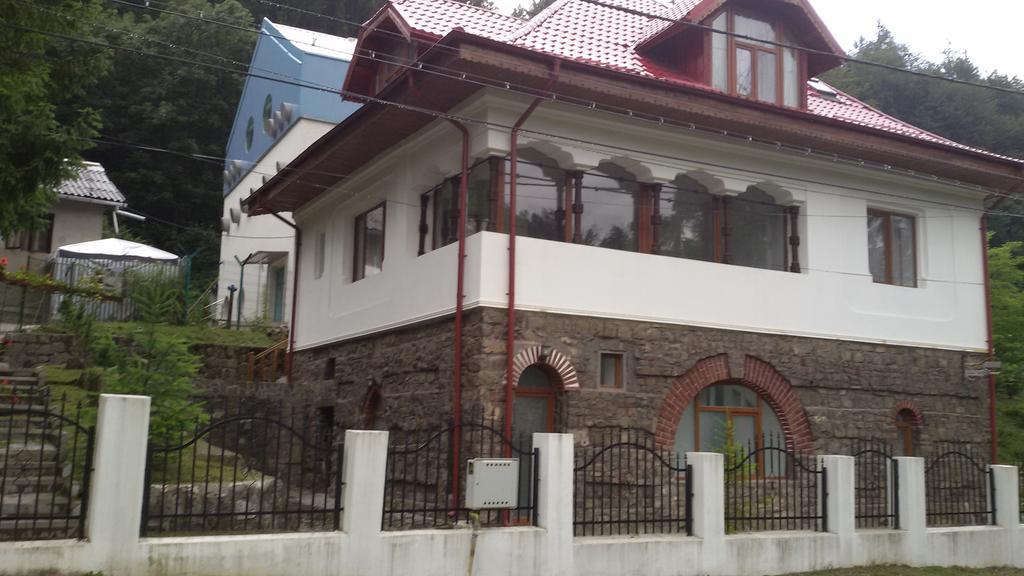 Casa Olguta Lejlighed Sinaia Eksteriør billede