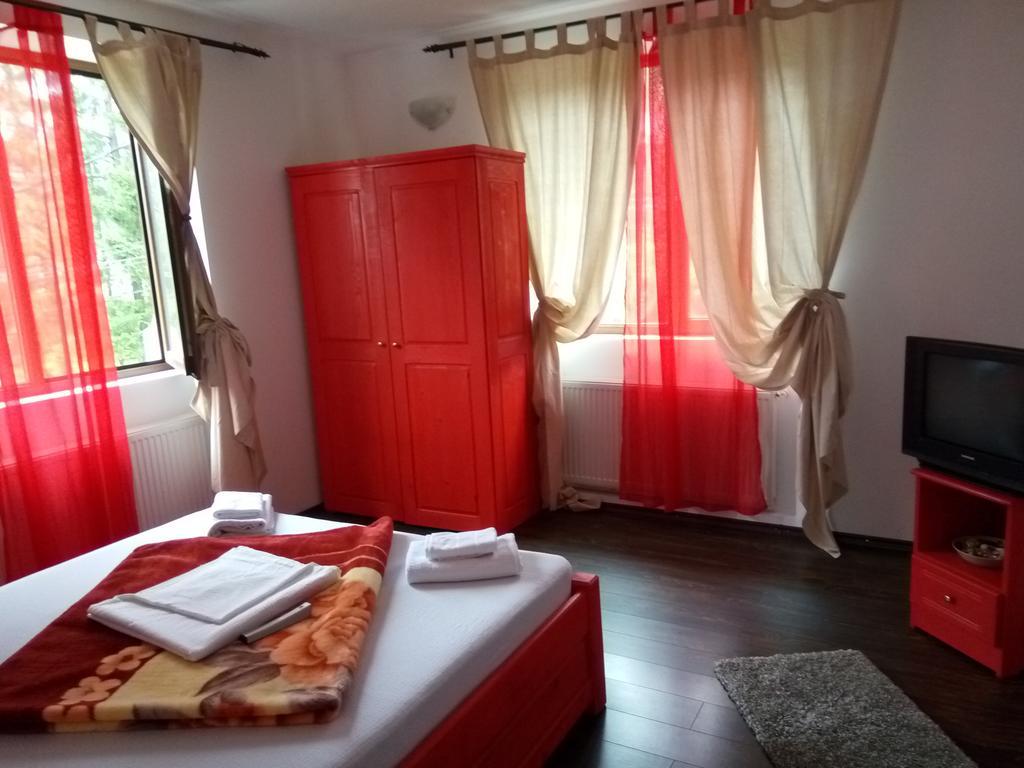 Casa Olguta Lejlighed Sinaia Eksteriør billede