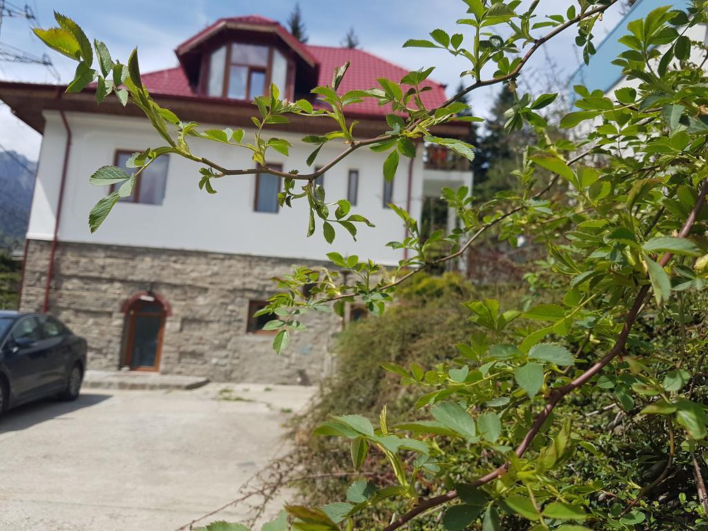 Casa Olguta Lejlighed Sinaia Eksteriør billede