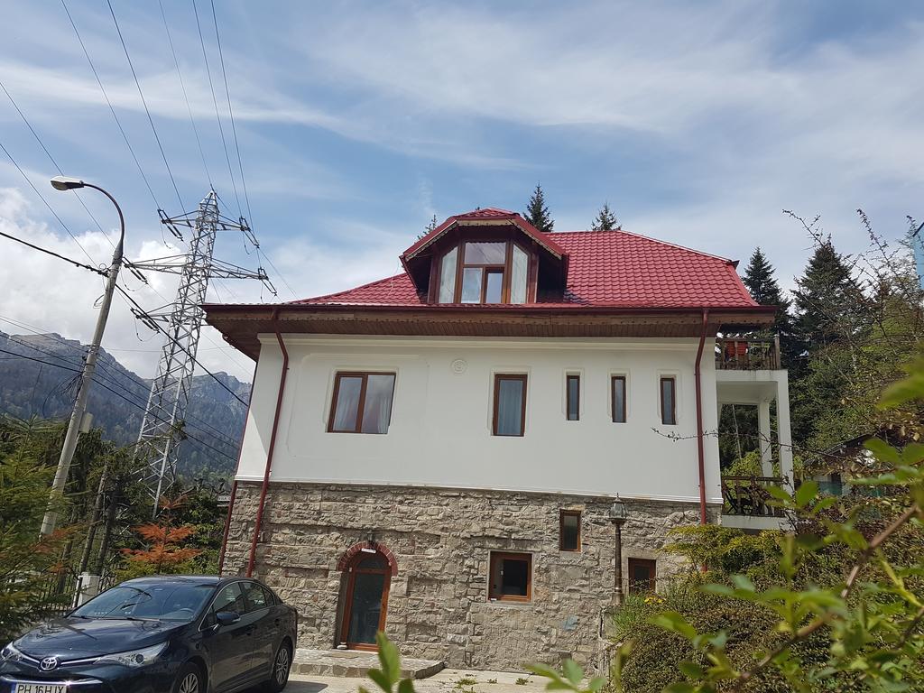 Casa Olguta Lejlighed Sinaia Eksteriør billede
